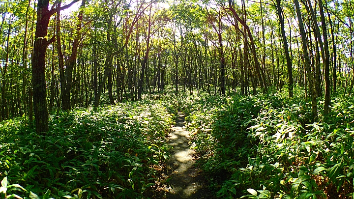 悲情 北海道之旅 完 全日本壓馬路(株)
