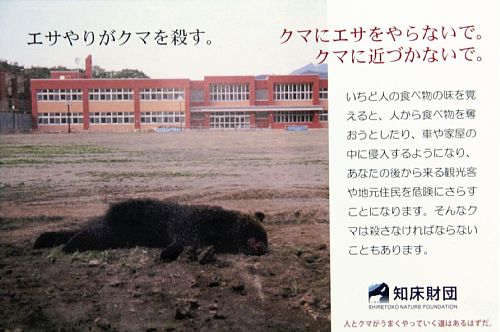悲情 北海道之旅 完 全日本壓馬路(株)