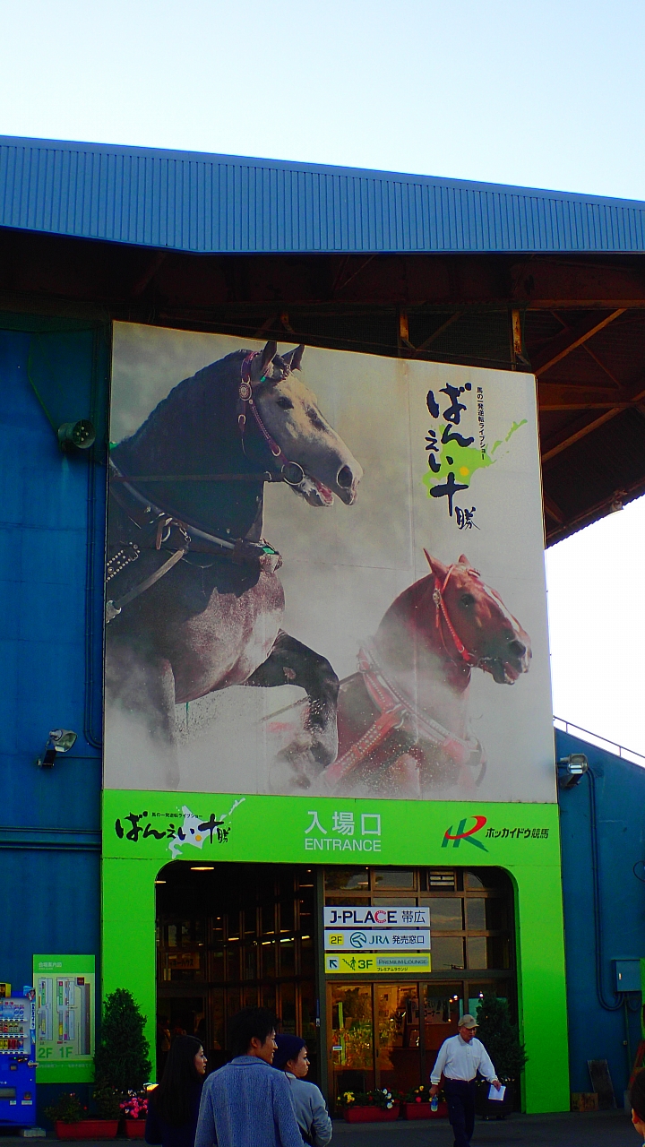 悲情 北海道之旅 完 全日本壓馬路(株)
