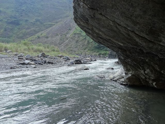 親子旅遊-蕙蓀林場