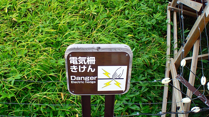 悲情 北海道之旅 完 全日本壓馬路(株)