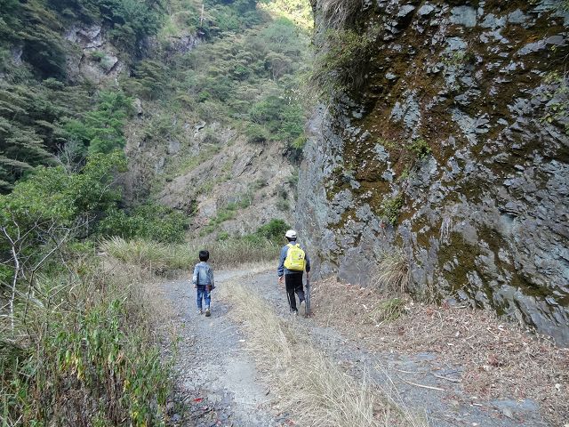 親子旅遊-蕙蓀林場