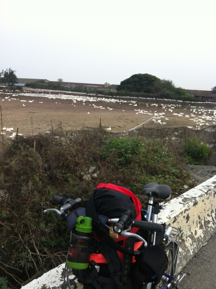 小折一日北高380km