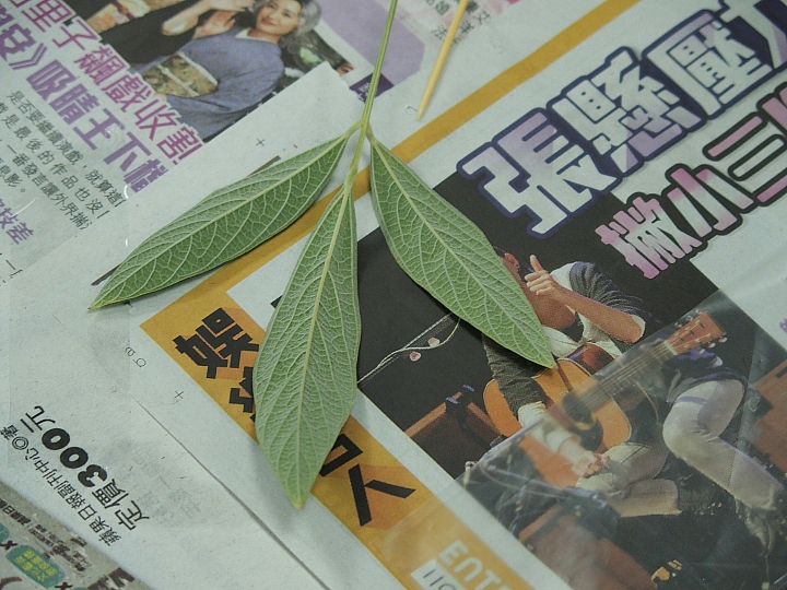 泡腳、DIY:大武山生態教育館為旅遊加分,帶著美好的回憶回家。