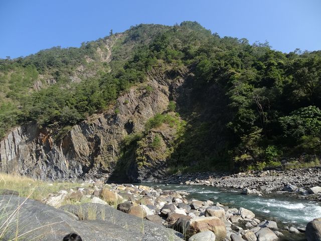 親子旅遊-蕙蓀林場