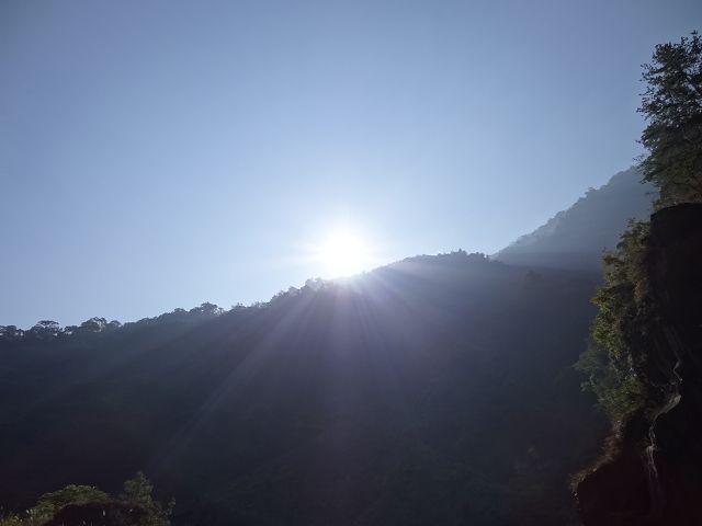 親子旅遊-蕙蓀林場