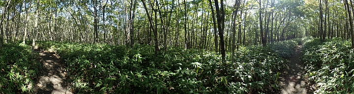 悲情 北海道之旅 完 全日本壓馬路(株)