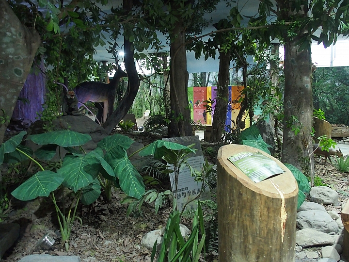 泡腳、DIY:大武山生態教育館為旅遊加分,帶著美好的回憶回家。