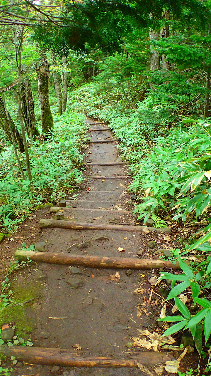 悲情 北海道之旅 完 全日本壓馬路(株)