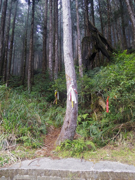 秋高氣爽的一日太平山翠峰湖