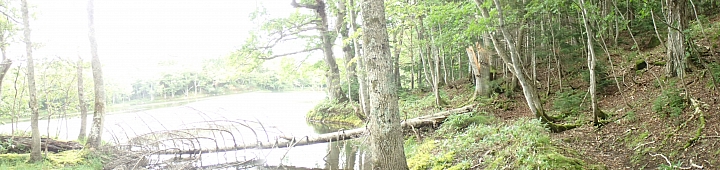 悲情 北海道之旅 完 全日本壓馬路(株)