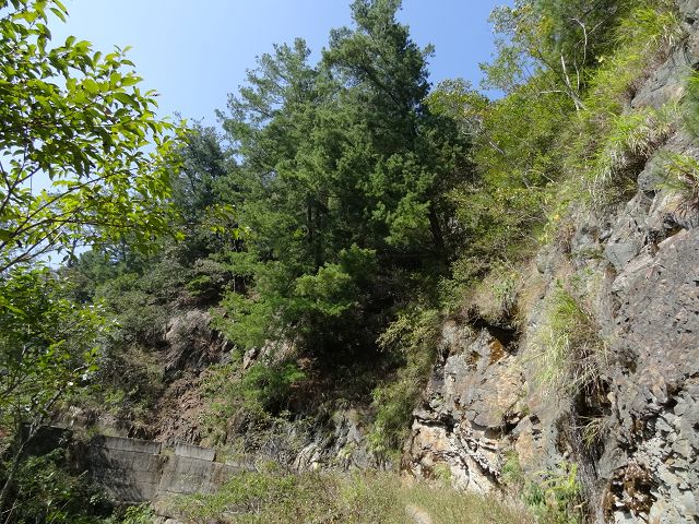 親子旅遊-蕙蓀林場