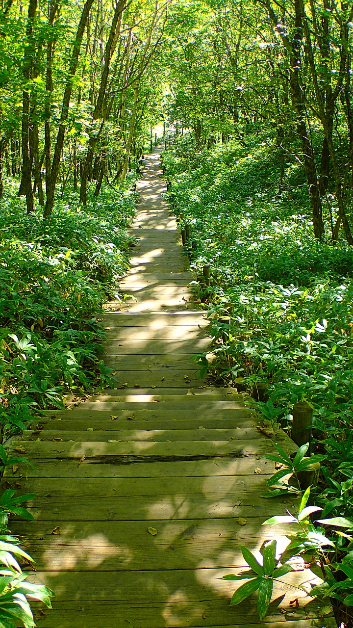 悲情 北海道之旅 完 全日本壓馬路(株)