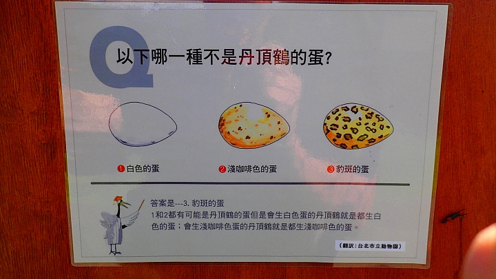 悲情 北海道之旅 完 全日本壓馬路(株)