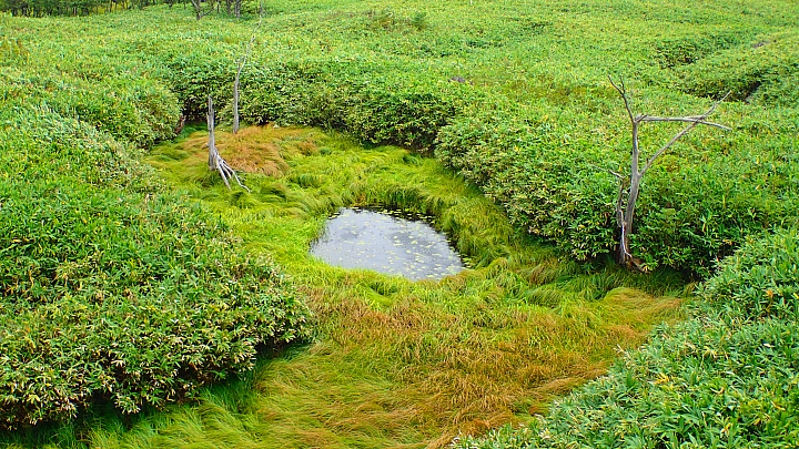 悲情 北海道之旅 完 全日本壓馬路(株)