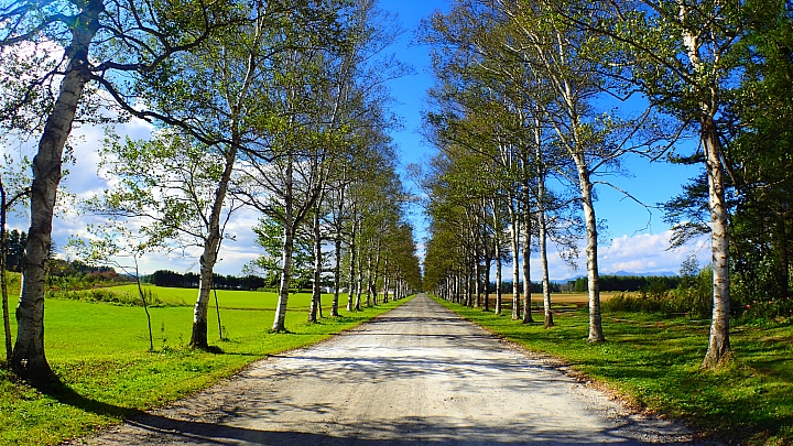 悲情 北海道之旅 完 全日本壓馬路(株)