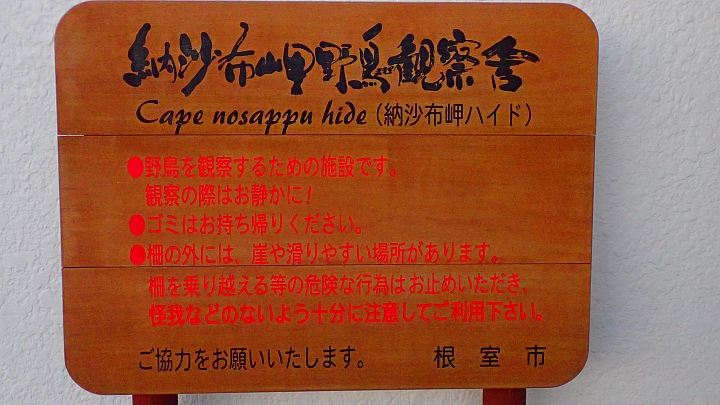 悲情 北海道之旅 完 全日本壓馬路(株)