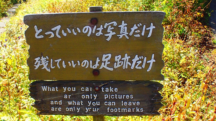 悲情 北海道之旅 完 全日本壓馬路(株)