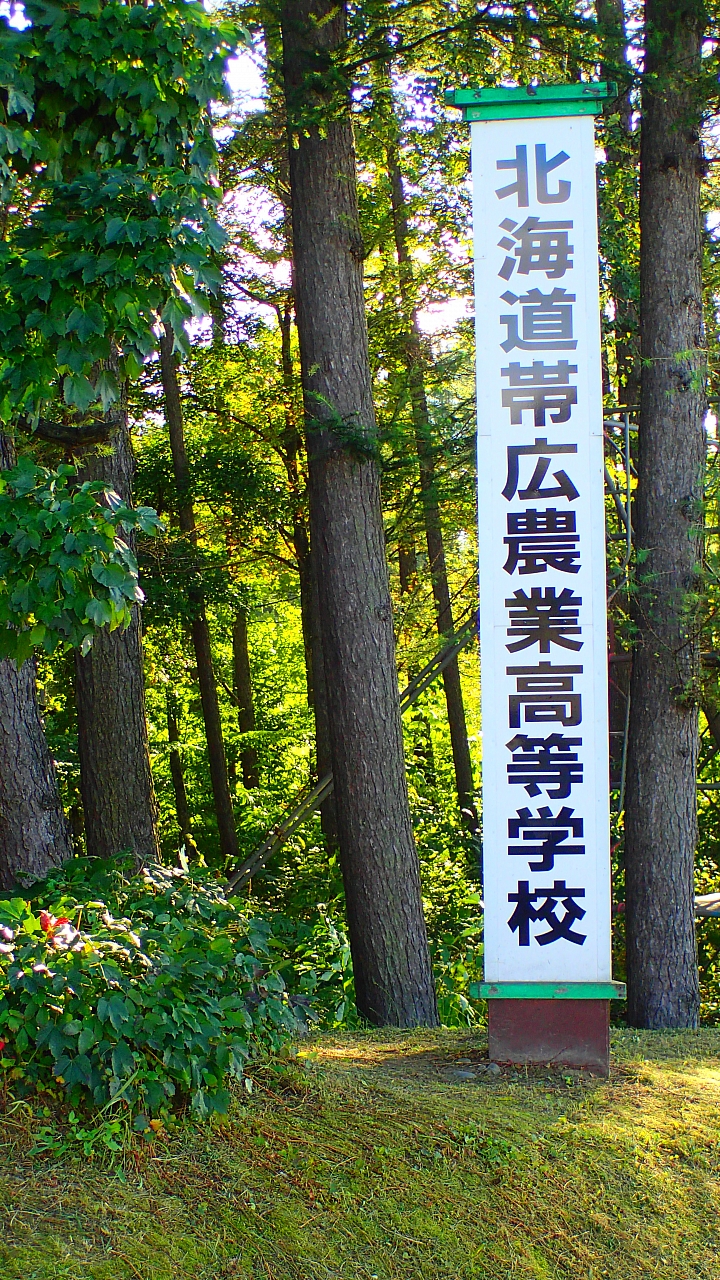 悲情 北海道之旅 完 全日本壓馬路(株)