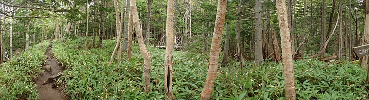 悲情 北海道之旅 完 全日本壓馬路(株)