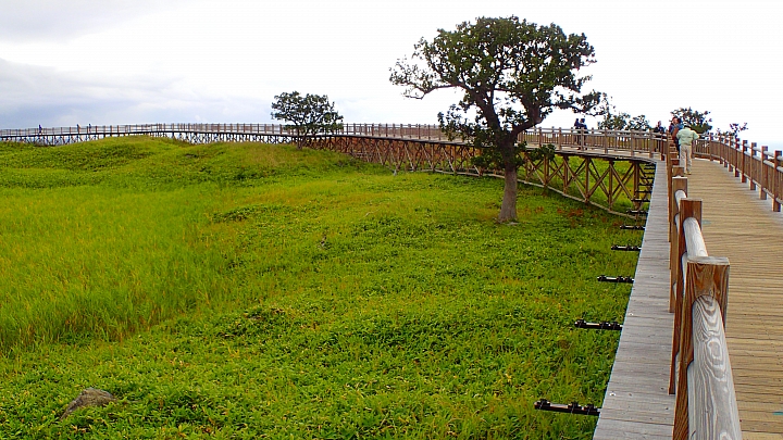 悲情 北海道之旅 完 全日本壓馬路(株)
