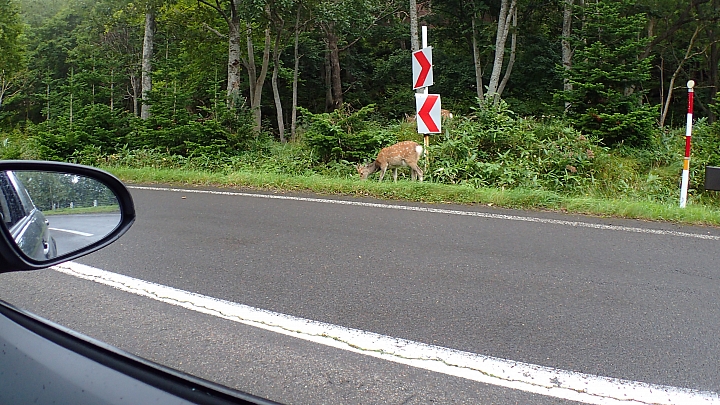 悲情 北海道之旅 完 全日本壓馬路(株)