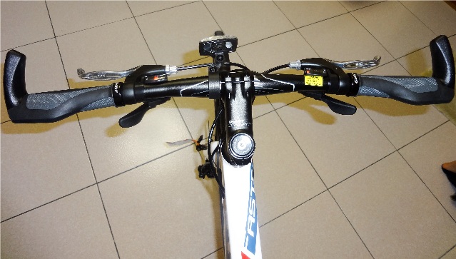 換車囉! Giant 2015 FastRoad SLR 2 開箱