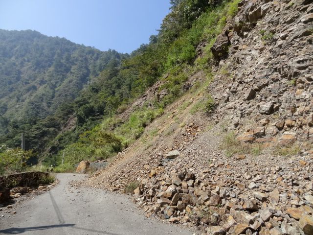 親子旅遊-蕙蓀林場