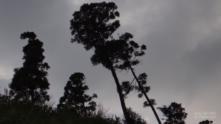 On the road again 宜蘭(大溪)至新北(雙溪)之小路亂撞