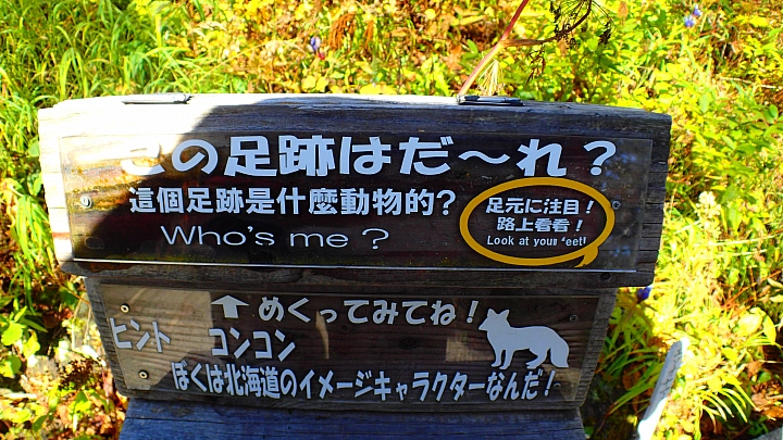 悲情 北海道之旅 完 全日本壓馬路(株)