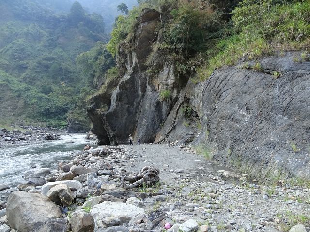 親子旅遊-蕙蓀林場