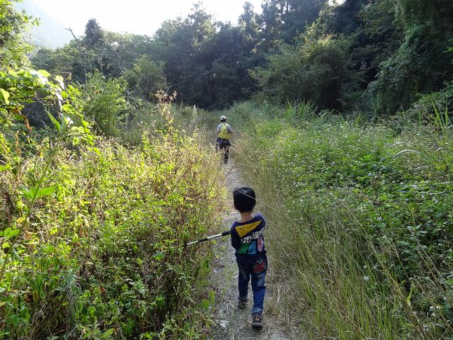 親子旅遊-蕙蓀林場