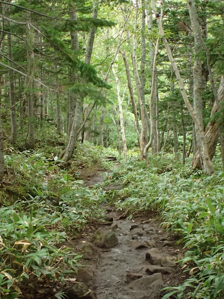 悲情 北海道之旅 完 全日本壓馬路(株)
