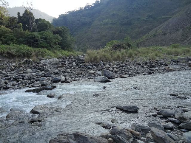 親子旅遊-蕙蓀林場