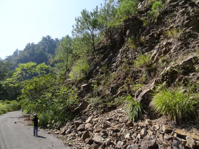 親子旅遊-蕙蓀林場
