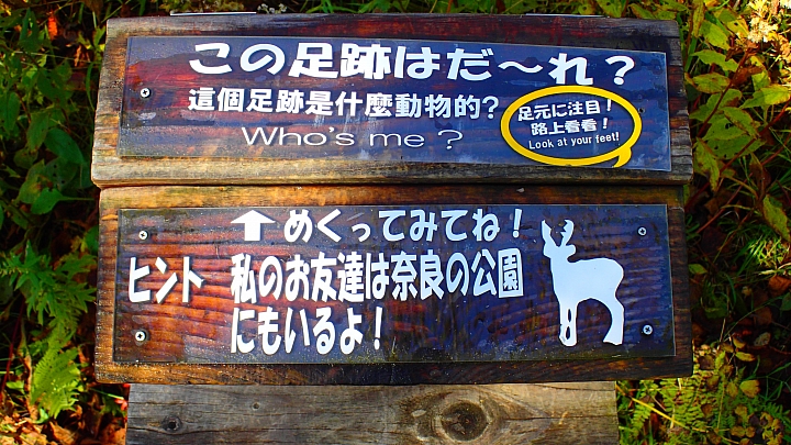 悲情 北海道之旅 完 全日本壓馬路(株)