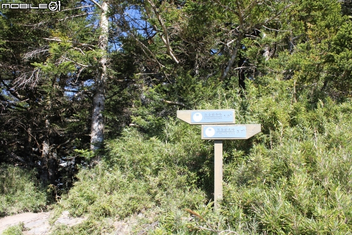 2014.10.13-合歡山-西峰-北峰-石門山-天氣優