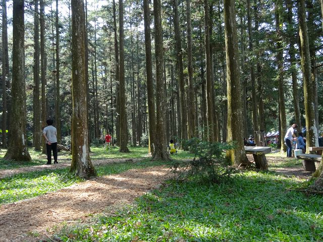 親子旅遊-蕙蓀林場