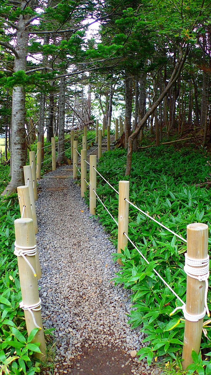 悲情 北海道之旅 完 全日本壓馬路(株)