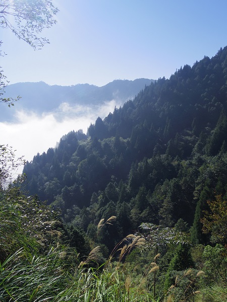 秋高氣爽的一日太平山翠峰湖