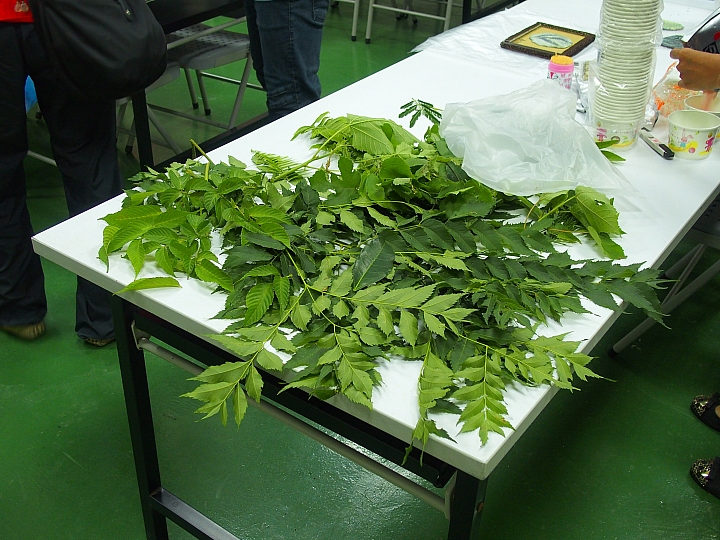 泡腳、DIY:大武山生態教育館為旅遊加分,帶著美好的回憶回家。