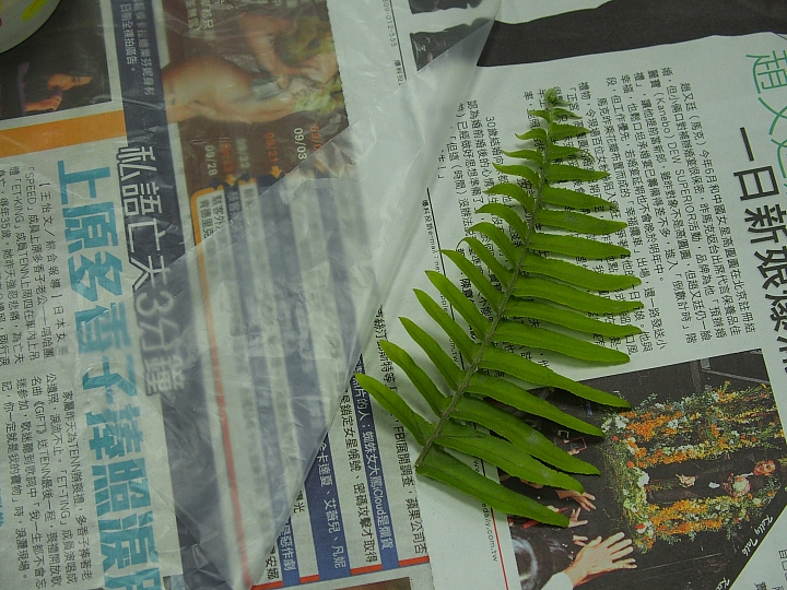 泡腳、DIY:大武山生態教育館為旅遊加分,帶著美好的回憶回家。