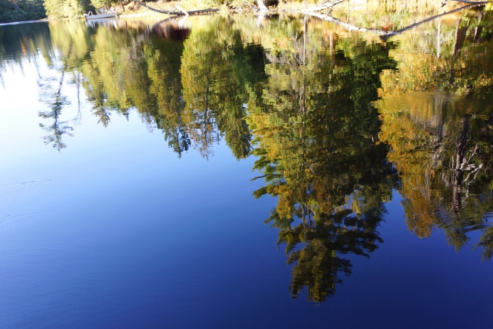 加拿大阿崗崑省立公園賞楓記行2013/09/27-28
