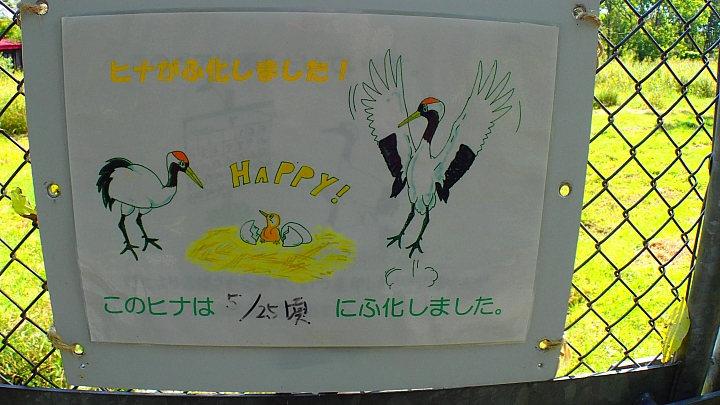悲情 北海道之旅 完 全日本壓馬路(株)