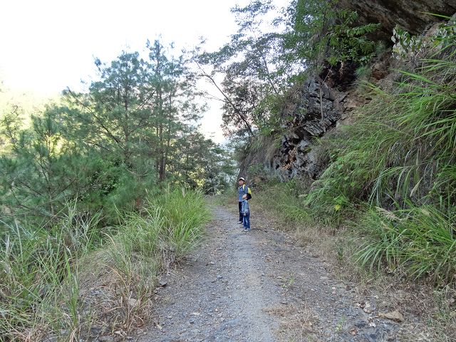 親子旅遊-蕙蓀林場