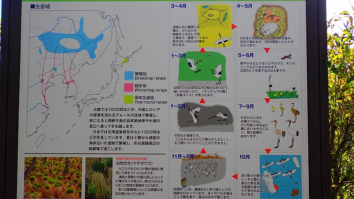 悲情 北海道之旅 完 全日本壓馬路(株)