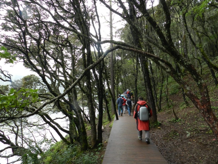 麗江八日遊