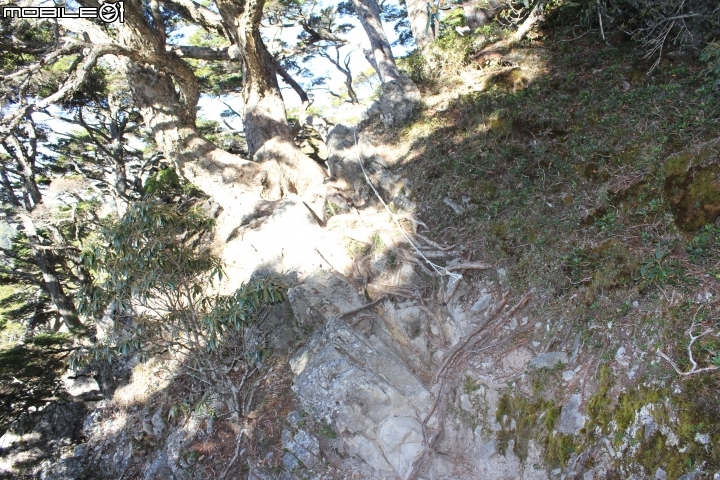 2014.11.06-單天攻3秀-品田山.池有山.桃山.贈送桃山瀑布-天氣初期優