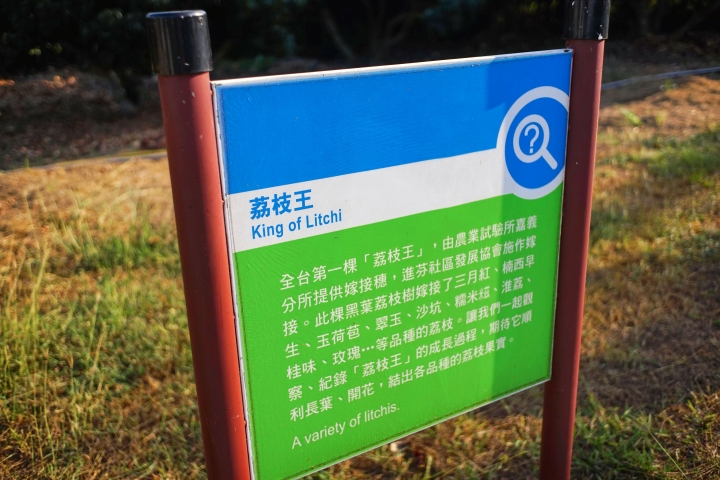 (Sony A7) 就是愛荔枝... 初遊記...