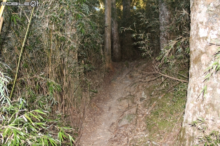 2014.11.06-單天攻3秀-品田山.池有山.桃山.贈送桃山瀑布-天氣初期優